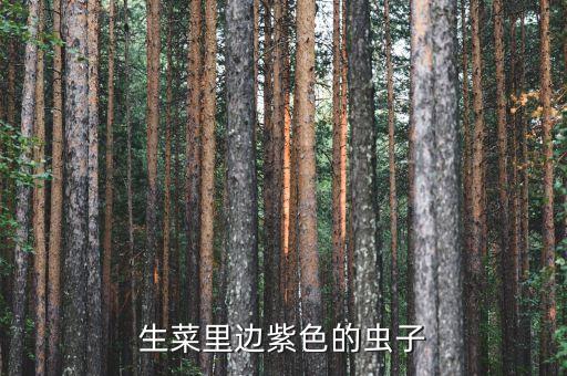 生菜里邊紫色的蟲子