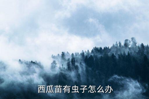  西瓜苗有蟲子怎么辦