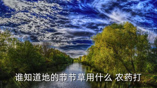 誰知道地的節節草用什么 農藥打