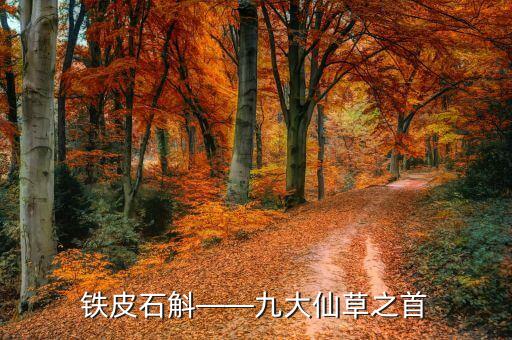 鐵皮石斛——九大仙草之首
