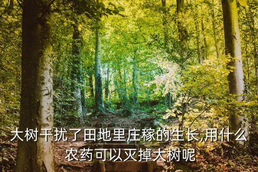 大樹干擾了田地里莊稼的生長,用什么 農藥可以滅掉大樹呢