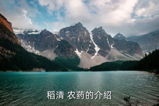 稻清 農(nóng)藥的介紹
