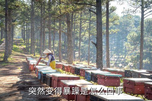 突然變得暴躁是怎么回事