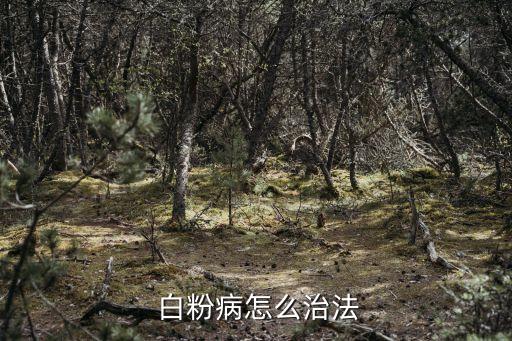 黃芩白粉病用什么農藥,白粉病用什么農藥效果好