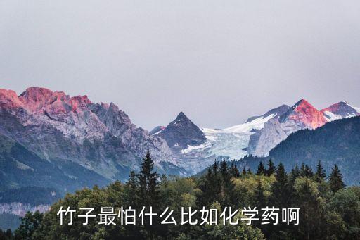 竹筍打什么農(nóng)藥會(huì)死的