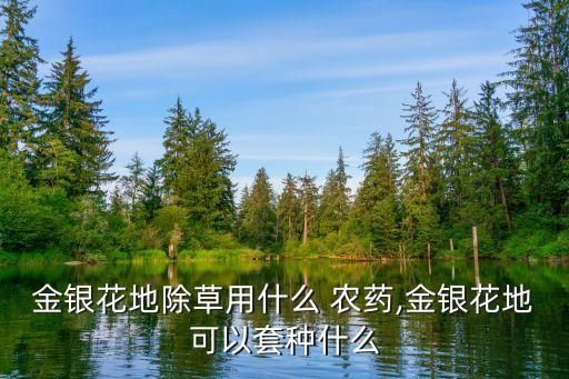 金銀花地除草用什么 農藥,金銀花地可以套種什么