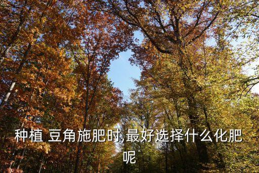 種植 豆角施肥時,最好選擇什么化肥呢