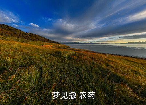 夢見買農藥是什么意思,已婚女人夢見打農藥是什么意思