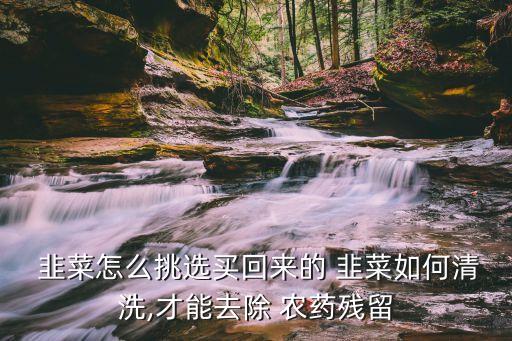  韭菜怎么挑選買回來的 韭菜如何清洗,才能去除 農(nóng)藥殘留