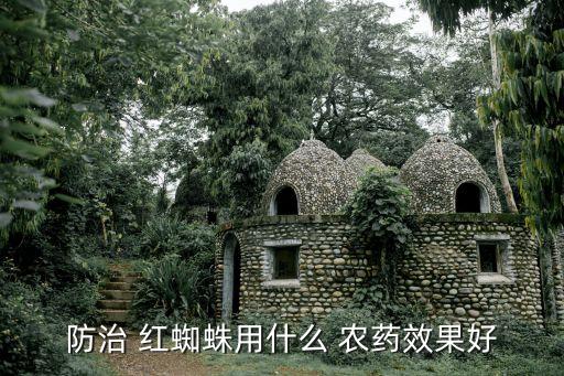 防治 紅蜘蛛用什么 農藥效果好