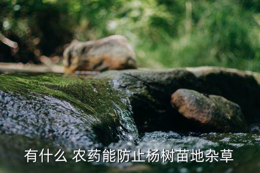 有什么 農藥能防止楊樹苗地雜草