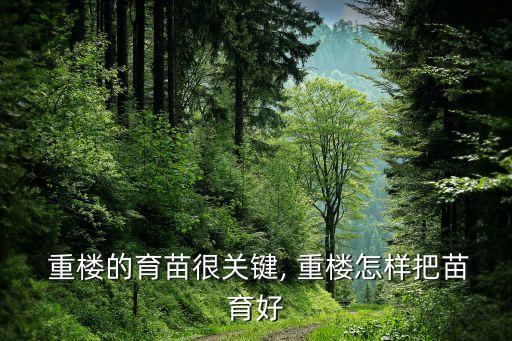  重樓的育苗很關(guān)鍵, 重樓怎樣把苗育好