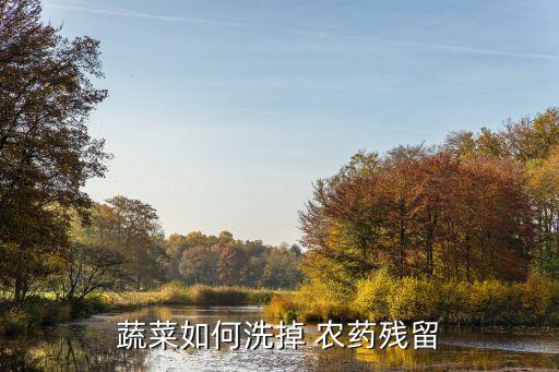 蔬菜如何洗掉 農藥殘留
