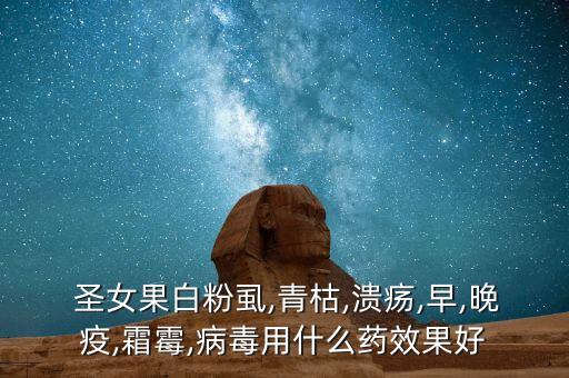  圣女果白粉虱,青枯,潰瘍,早,晚疫,霜霉,病毒用什么藥效果好