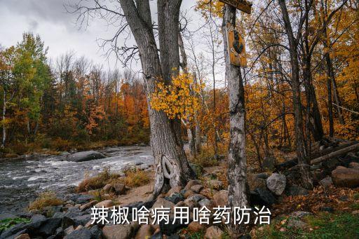 辣椒還沒熟爛果用什么農藥