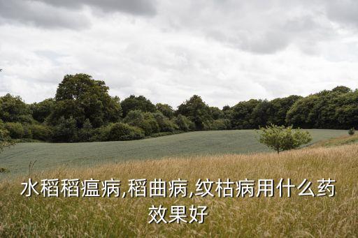 水稻稻瘟病,稻曲病,紋枯病用什么藥效果好