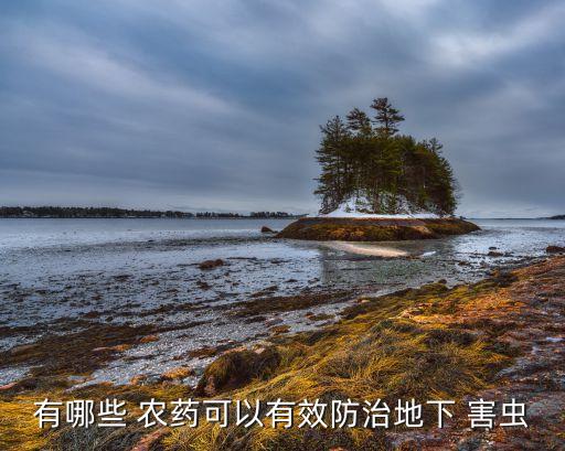 有哪些 農(nóng)藥可以有效防治地下 害蟲(chóng)