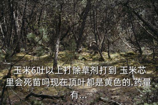  玉米6葉以上打除草劑打到 玉米芯里會死苗嗎現(xiàn)在頂葉都是黃色的.藥量有...