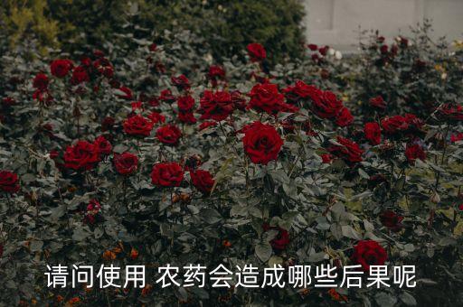 請(qǐng)問使用 農(nóng)藥會(huì)造成哪些后果呢
