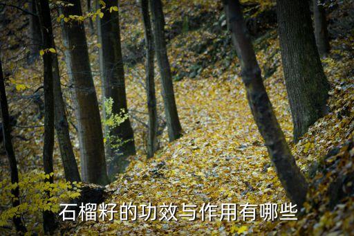 石榴籽打什么農藥,石榴需要打農藥嗎