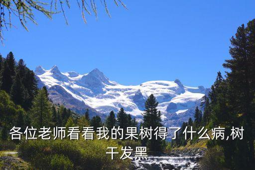 各位老師看看我的果樹得了什么病,樹干發(fā)黑