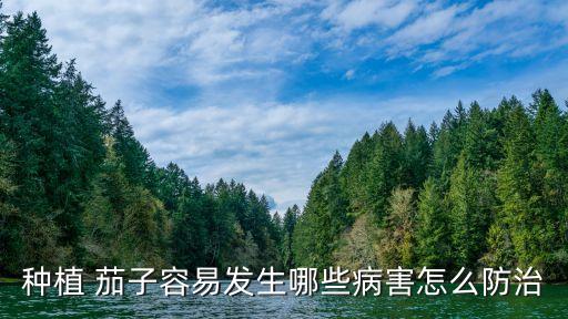 種植 茄子容易發(fā)生哪些病害怎么防治