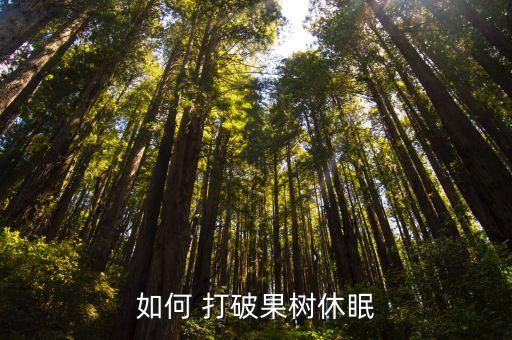 如何 打破果樹休眠