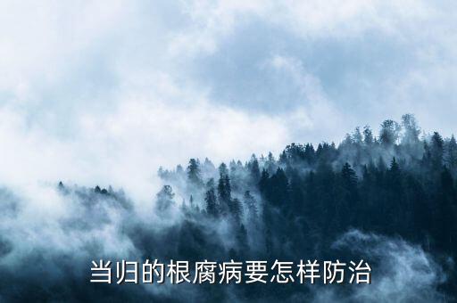 當(dāng)歸用什么農(nóng)藥長得好,當(dāng)歸有什么作用?