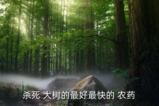大樹上噴什么農(nóng)藥,有沒有什么農(nóng)藥能把大樹打死
