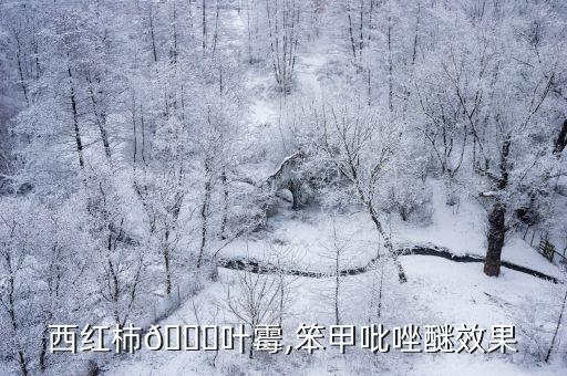 西紅柿?葉霉,笨甲吡唑醚效果