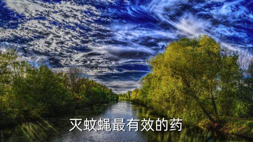 滅蚊蠅最有效的藥