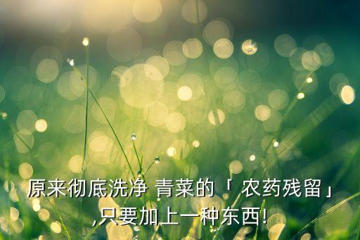 青菜去處農藥用什么浸泡,鹽水浸泡青菜能有效清除農藥嗎?