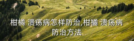 柑橘 潰瘍病怎樣防治,柑橘 潰瘍病防治方法