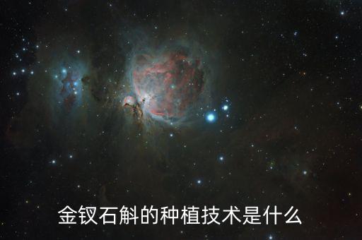 金釵石斛的種植技術(shù)是什么