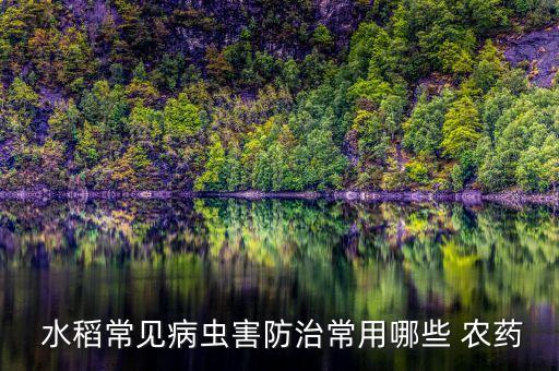 種水稻需要什么農(nóng)藥,水稻農(nóng)藥什么時間打效果最好