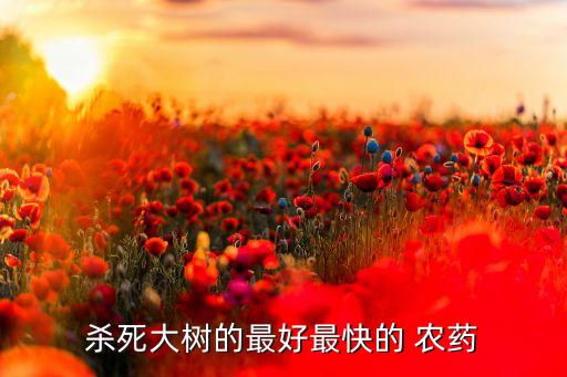 讓楊樹死打什么農藥,楊樹用什么方法死得快一點