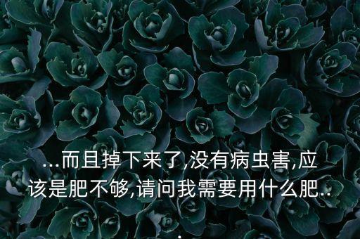 青棗用什么農藥促花,青棗打什么農藥