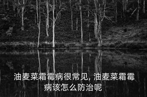 油麥腐爛用什么農(nóng)藥