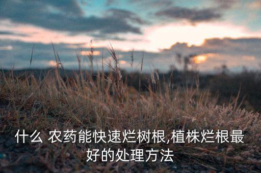 什么 農藥能快速爛樹根,植株爛根最好的處理方法