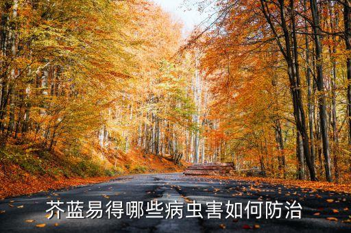 芥蘭為什么有農藥,炒芥蘭為什么要下姜
