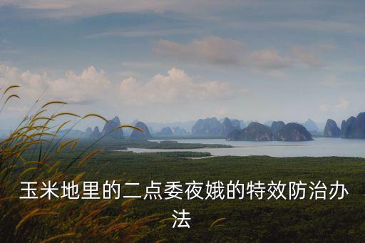 玉米地溝施什么農藥殺蟲好