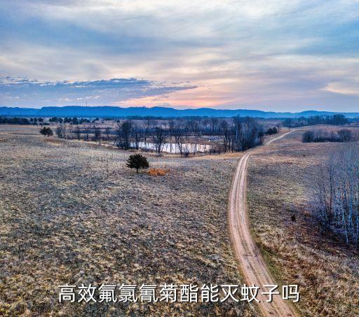 高效氟氯氰菊酯能滅蚊子嗎