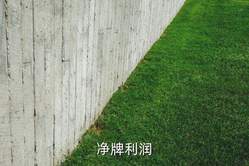 凈牌利潤