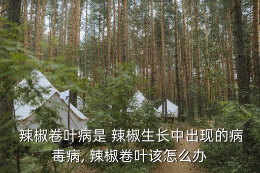 辣椒卷葉用什么農(nóng)藥打,辣椒葉霉病的防治方法