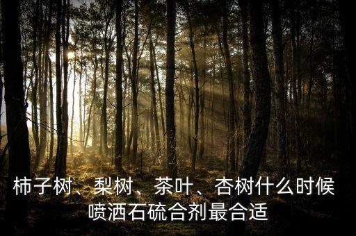 樹木噴灑農藥什么時候好,小區給樹木噴灑的農藥毒性大不大