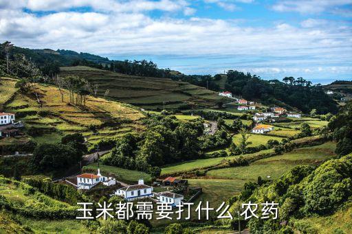  玉米都需要打什么 農(nóng)藥