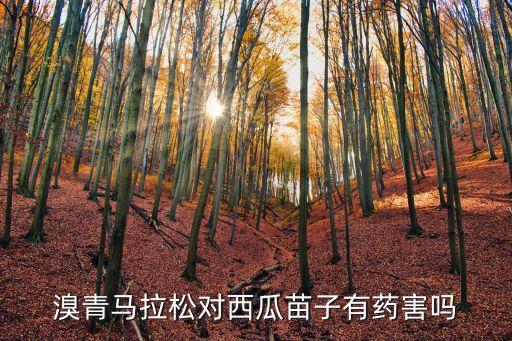 細(xì)剎農(nóng)藥什么成分,223農(nóng)藥什么成分