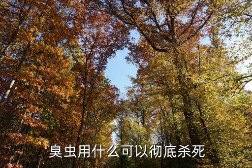 臭蟲用什么農(nóng)藥有效果,什么農(nóng)藥能殺死臭蟲