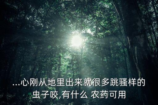 ...心剛從地里出來就很多跳騷樣的蟲子咬,有什么 農藥可用