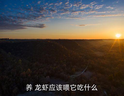 龍蝦夏季加什么農(nóng)藥好,什么農(nóng)藥快速殺死龍蝦
